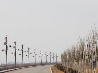 CE Wind Solar Hybrid Street Light System With Vertical Axis Maglev Wind Turbine